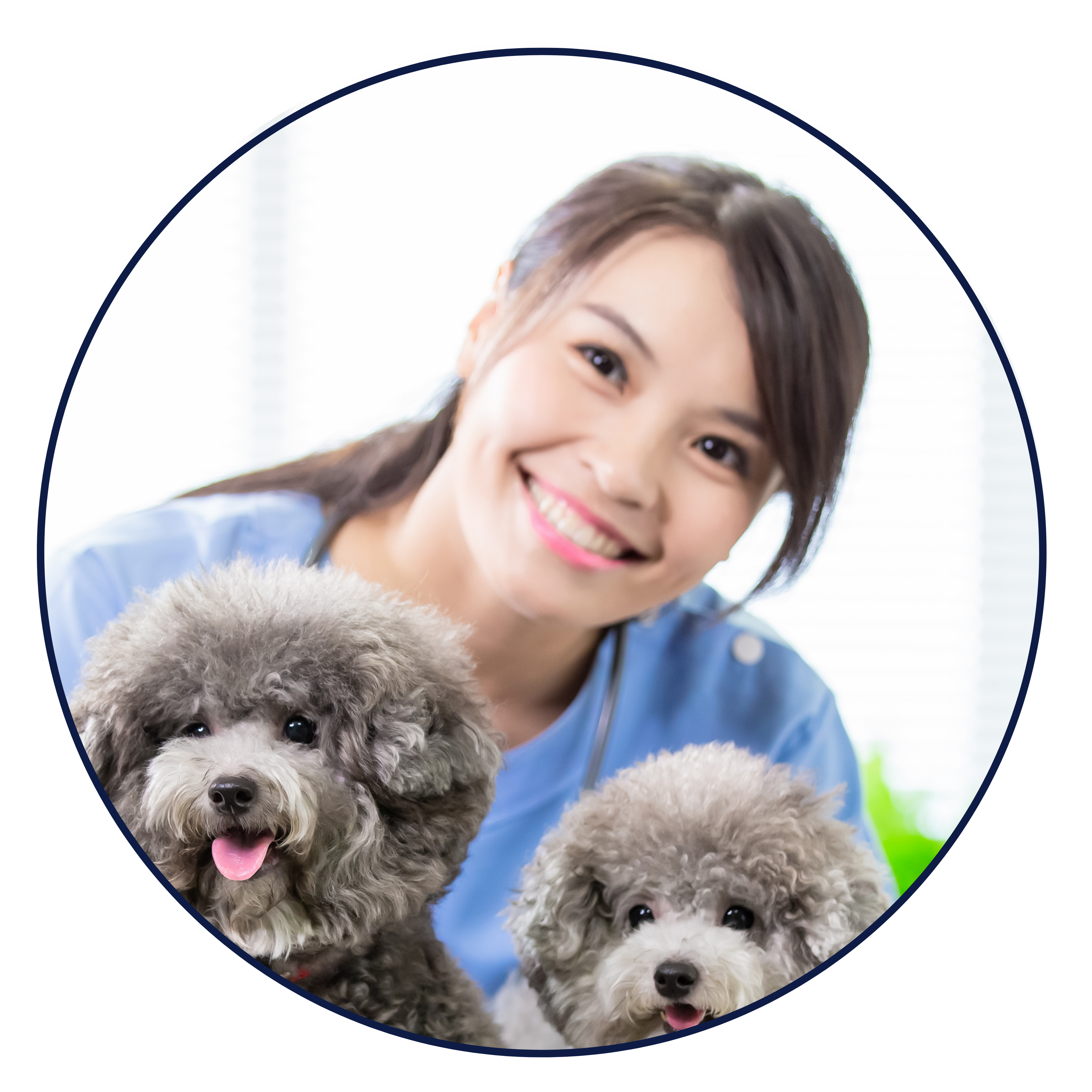 Projekt bez nazwy (23)